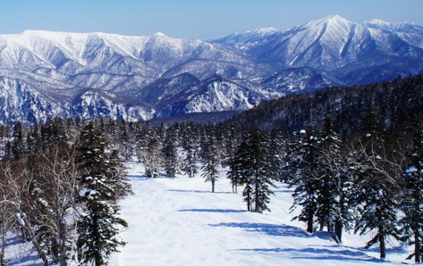 大雪山層雲峡黒岳スキー場