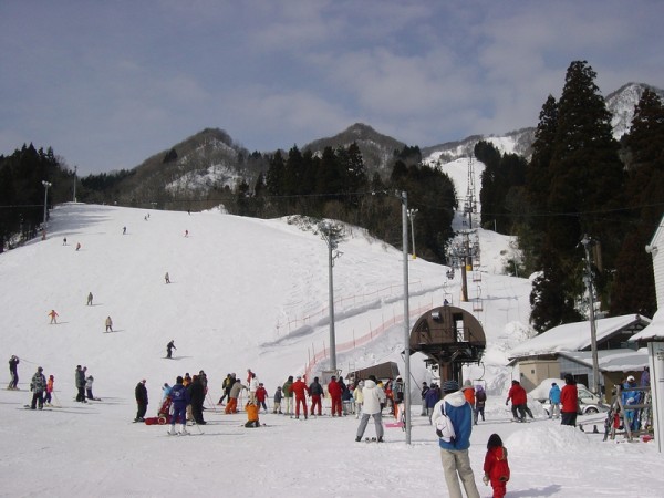 村上市 ぶどうスキー場