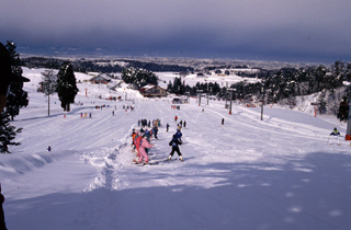 長岡市営スキー場