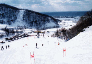 暑寒別岳スキー場
