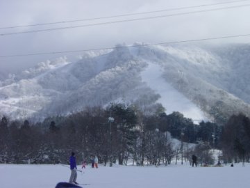 みやぎ蔵王七ヶ宿スキー場