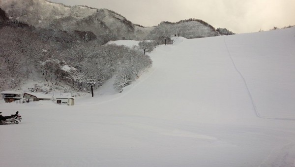 氷ノ山国際スキー場